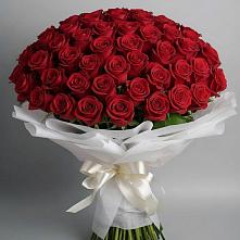 Букет 101 Красная роза Блэк Мэджик в Еманжелинске