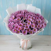 Букет цветов из:  Хризантемы #REPLACE_PRED# Еманжелинске