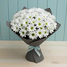Букет цветов из:  Хризантемы #REPLACE_PRED# Еманжелинске