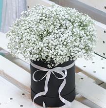 Цветочная композиция из Гипсофила в шляпной коробке #REPLACE_PRED# Еманжелинске