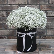 Цветочная композиция из Гипсофила в шляпной коробке #REPLACE_PRED# Еманжелинске